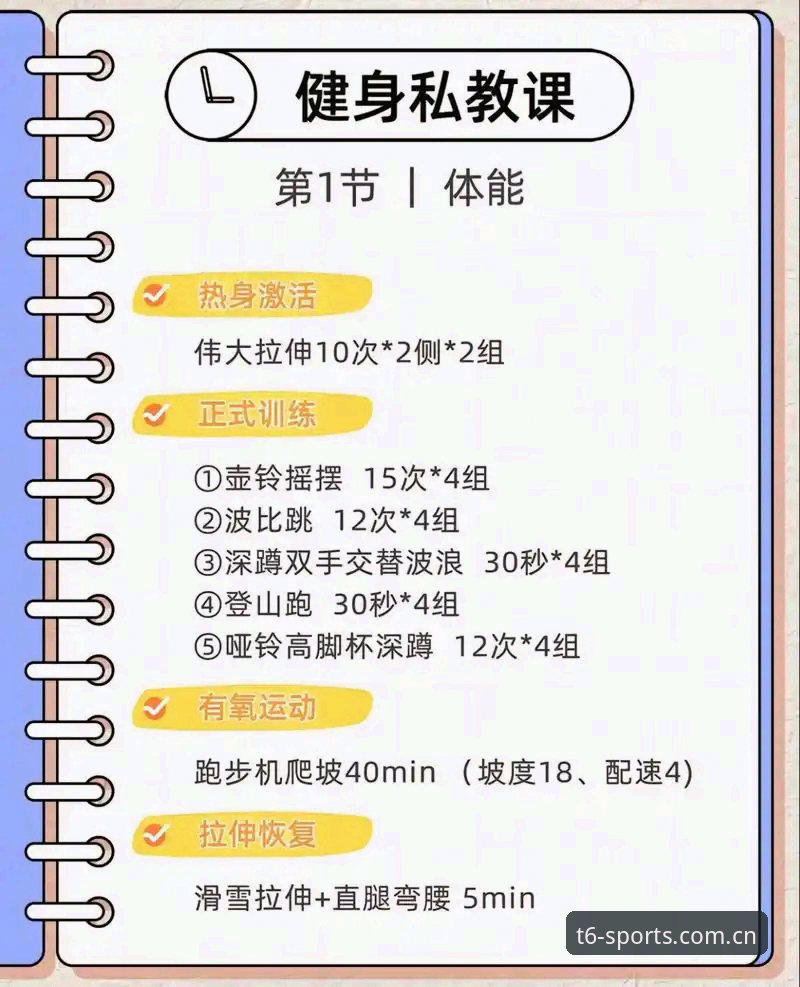 6t体育平台入口全面解析：新手用户必备的操作指南与深度体验分享